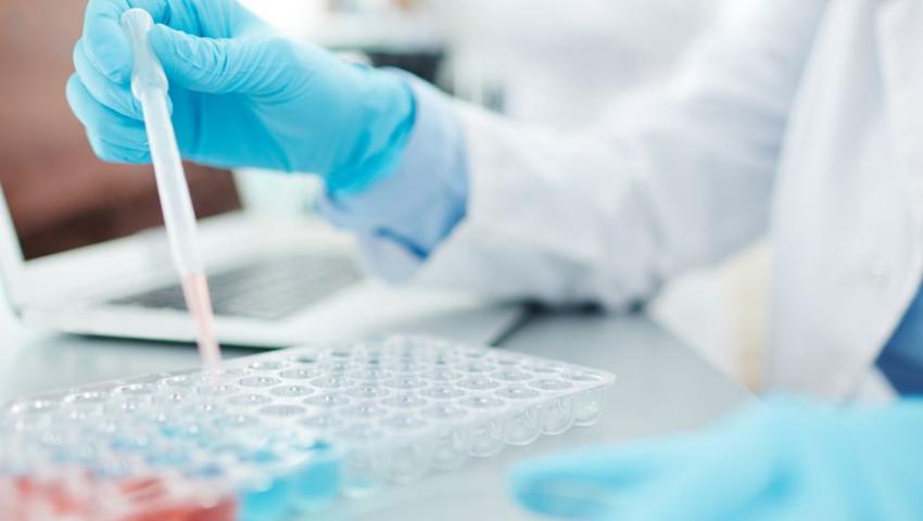 Research and Profiles